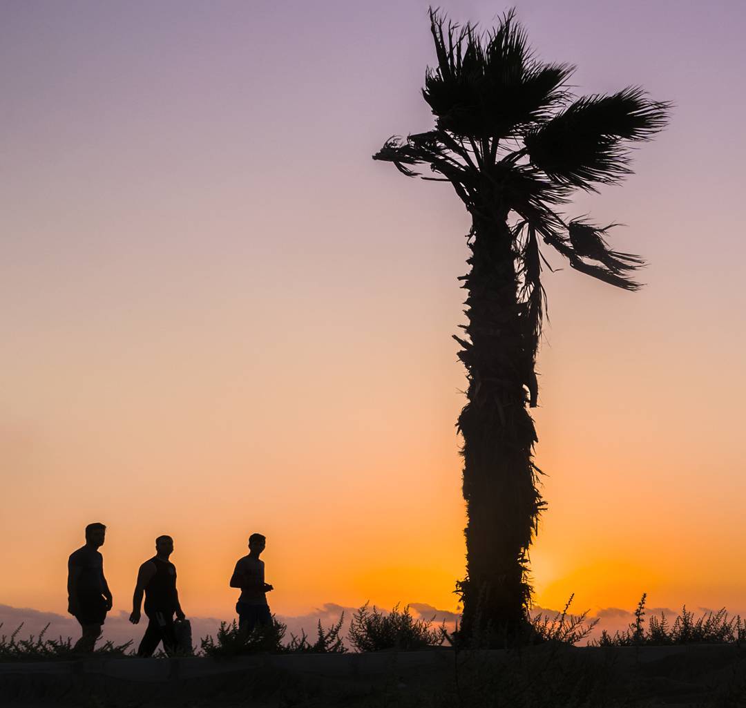 Three figures and a tall palm tree silhouetted against an orange and lavender sunset.