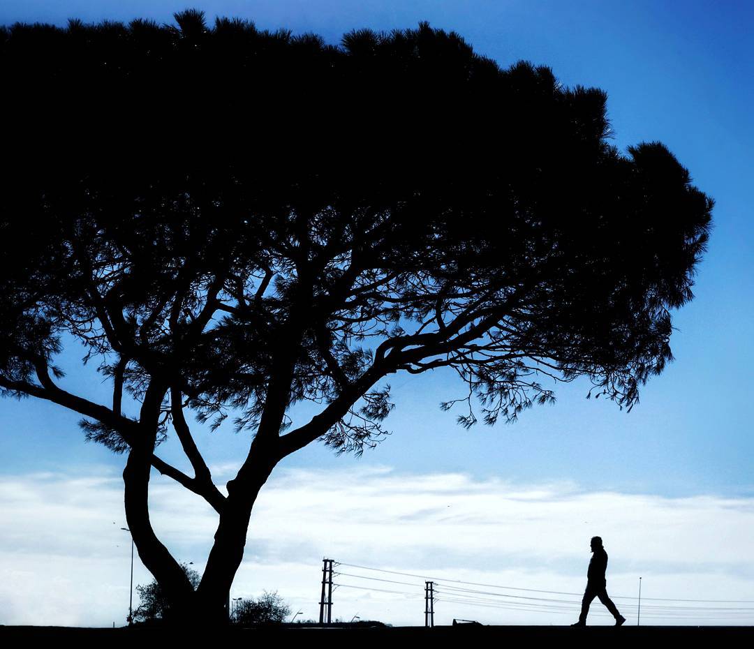 A walking figure beside a large spreading tree, both silhouetted against the blue sky.